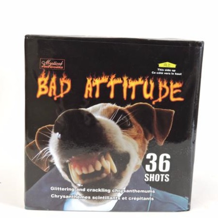 Bad Attitude