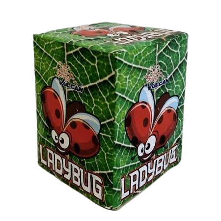 Ladybug 